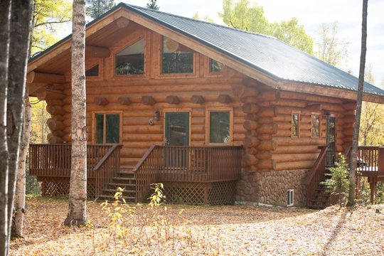 Log cabin among birch trees in autumn