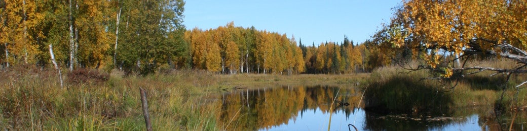 The Preserve at Sheep Creek