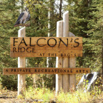 Great Start at Falcons Ridge